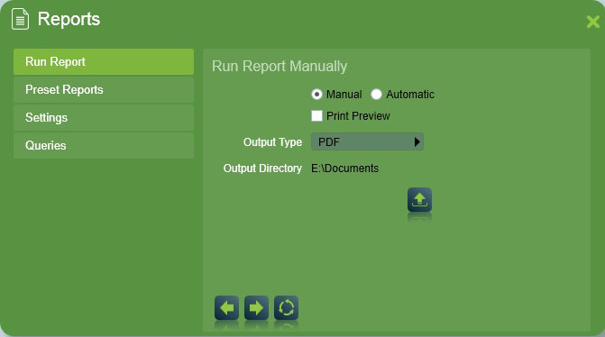 Selecting an Output Type is the final step before manually running a report.